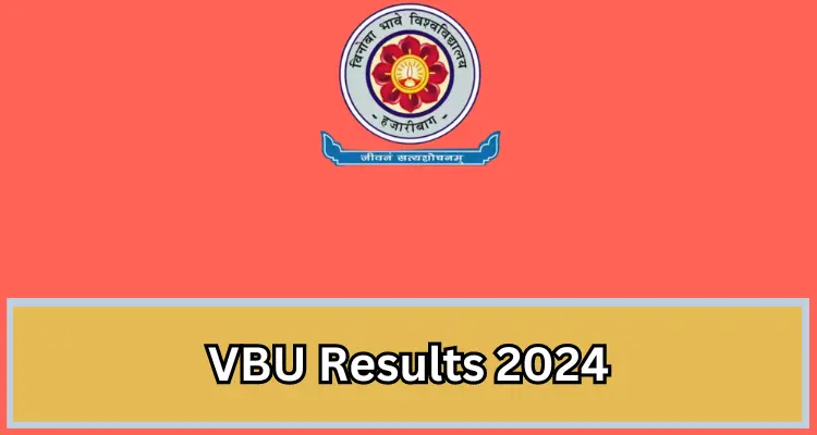 Must read; VBU Results 2024